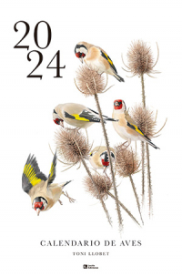 Calendario de aves 2024